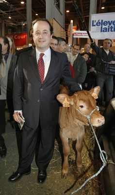 Hollande Veau