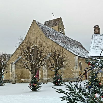 Le Jardin Face au Froid