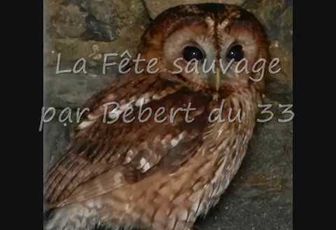le fête sauvage de Vangélis