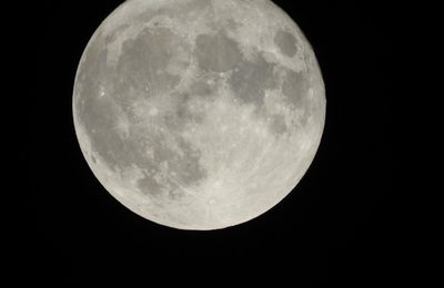 Madame la Lune du 14 novembre 2016...
