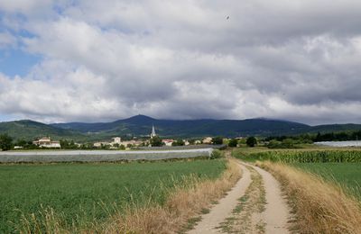 Le 4 août 2020: de Chavanay à Saint-Julien-Molin-Molette - 2