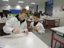 Défis scientifiques pour les CM