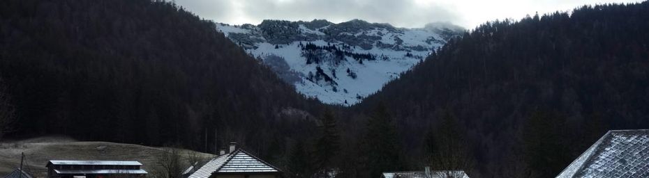En forêt au col du Plane