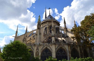 La photo du weekend : Notre-Dame de Paris