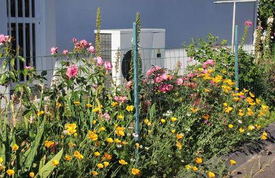 Vue sur jardin depuis la rue.