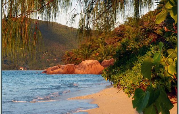 Lever de soleil : pendant très un bref instant, Anse La Farine se pare de rouge (6 h 13) - Praslin - Seychelles