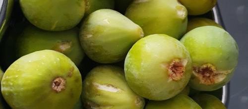 J'aime les figues