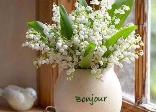 Un petit brin de muguet pour le 1er mai