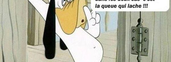 Humour du vendredi ... !!!