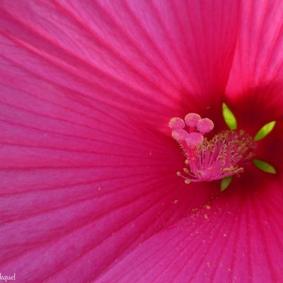 Ma photo préférée...