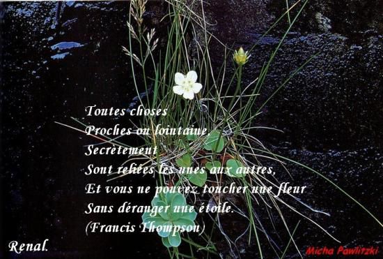 Citations en images : Toutes choses......