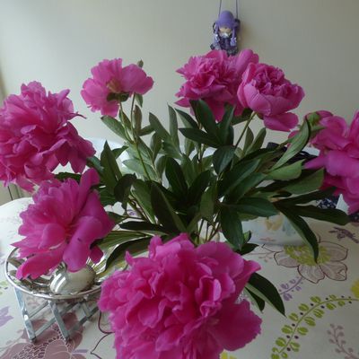 tres bon week end a vous tous