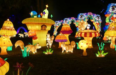 La clairière des écureuils, au Festival des lanternes chinoises, à Gaillac...