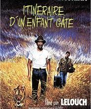 Itinéraire d'un enfant gâté (1988)
