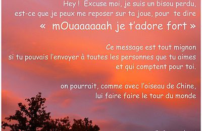 Un petit tour du monde...
