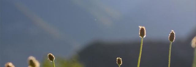 Escapade gourmande (1/3) : La vallée d'Aoste