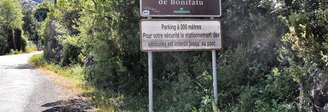 Forêt de Bonifatu - Corse