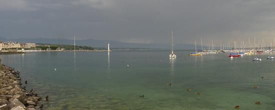 La cigogne et le caribou à Genève