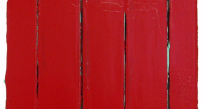 Denis Serre / Destruction ET Construction