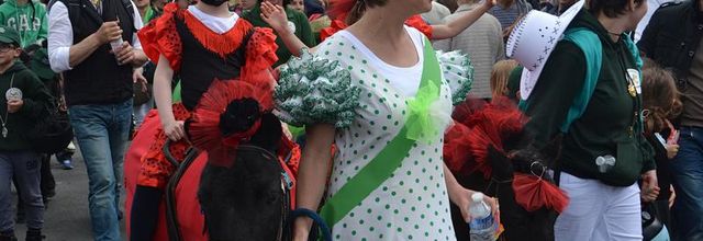 Rambouillet : Fête du Muguet : défilé (3)
