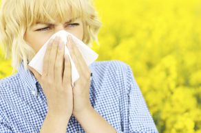 La saison pollinique sera-t-elle virulente?