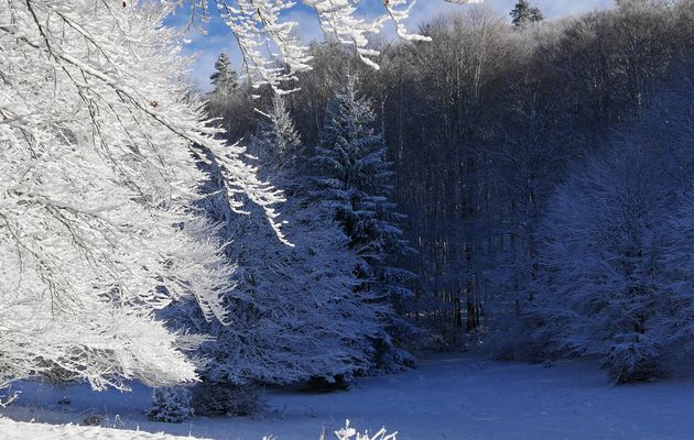 Le 15 janvier 2023 : La première neige, c'est la plus belle - 2