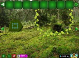 Nature tempere forest escape soluce