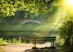 Nous avons même eu des rayons de soleil ... 