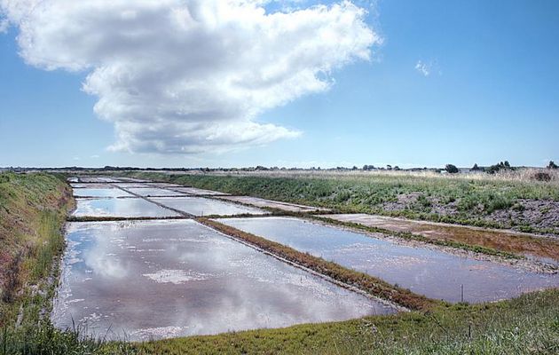 Nuage sur le marais - Ars-en-Ré - Ile de Ré - 17