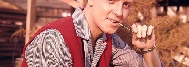 photo eddie cochran