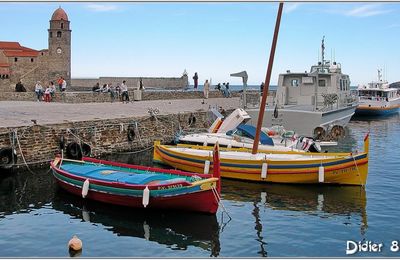 66 . Pyrénées Orientales - Collioure (1) - Port