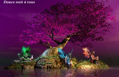 Belle nuit à tous
