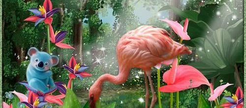Les flamands roses .