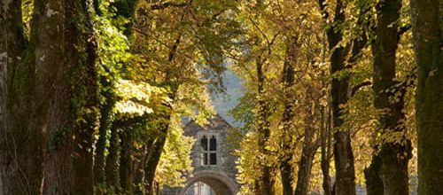 BEAU PAYSAGE EN AUTOMNE