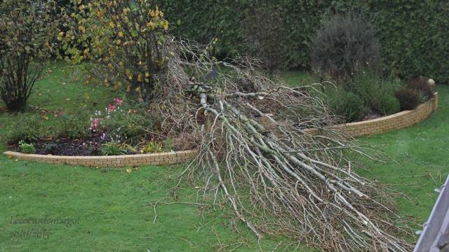 Coup de vent, ce matin !