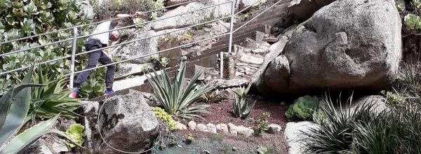  jardin exotique de Roscoff (fin )