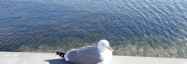 Balaruc Les Bains..