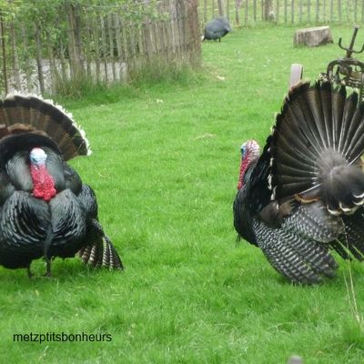 Les perles des fonctionnaires, le retour!