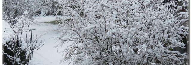 PREMIERES  NEIGE  EN  PLAINE  SAVOYARDE  2020
