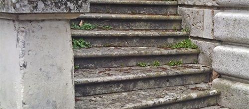 Escaliers en voie d'abandon - Stairs almost forsaken