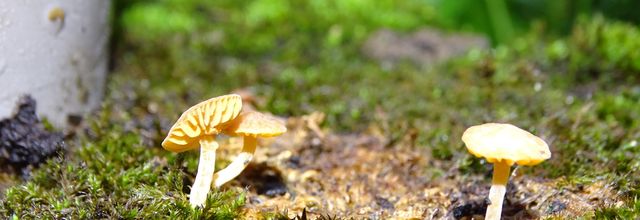 Les beaux ciels de chez moi