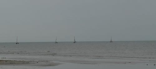 stage de catamaran