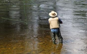 La vallée de la Matapédia et ses saumons