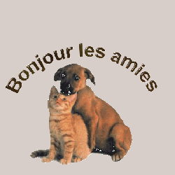 Orchidée, Oiseaux Amoureux, etc.... en mode "finition"