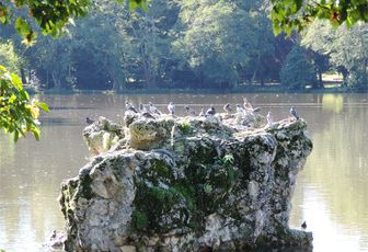 Le parc Majolan à Blanquefort 33 (4)