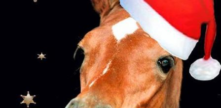 Joyeux Noël ! ! !