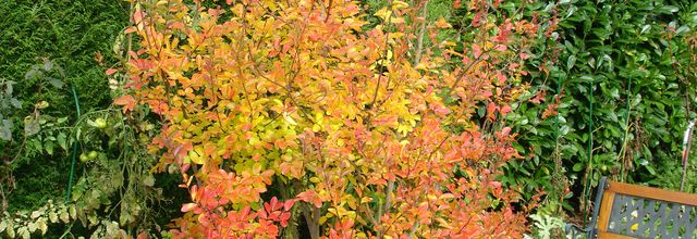 Bel automne...