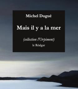 Michel Dugué : entretien avec D. Picard