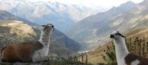 Tour en Bigorre
