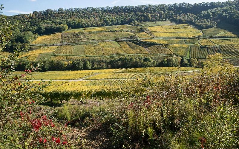 Un tour à Château-Chalon - 1/2
